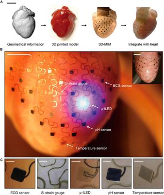 Advances in Implantable Optogenetic Technology for Cardiovascular Research and Medicine